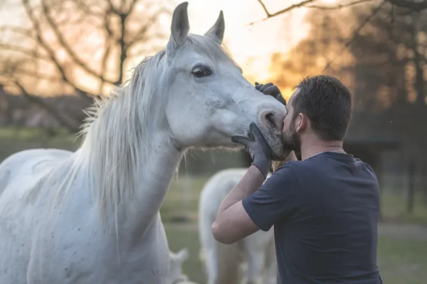 La médiation animale : quand l’animal devient un partenaire du soin